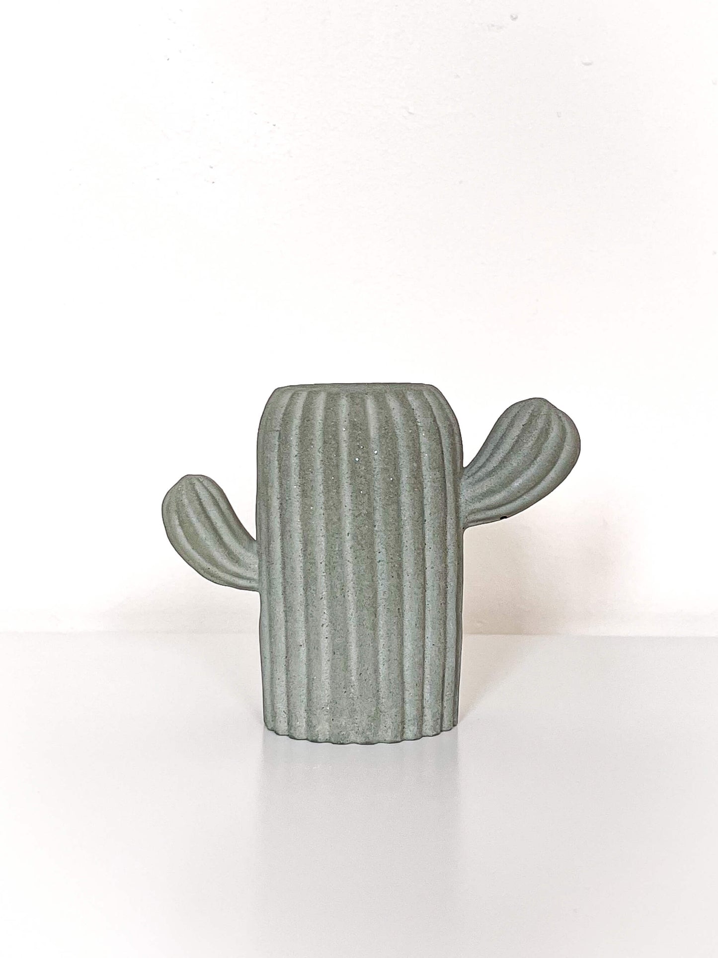 Vaso per fiammiferi a coste di cactus verde